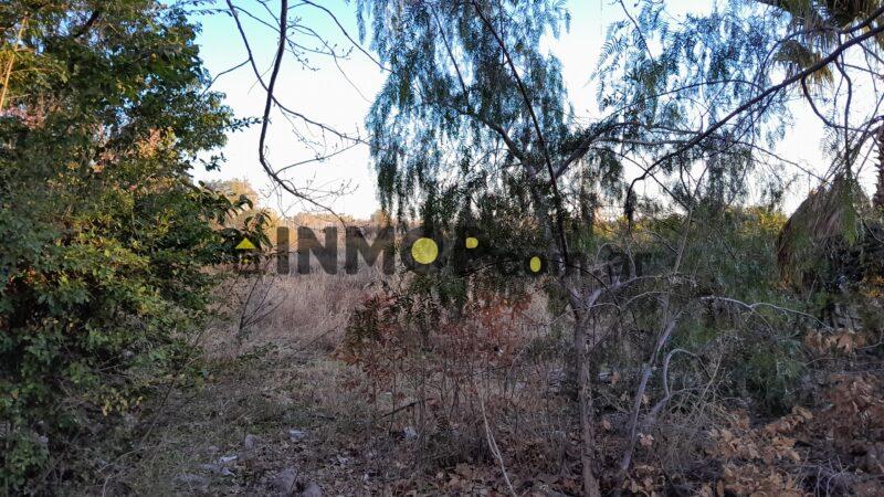 Mitre, General Ortega General Ortega, Maipu