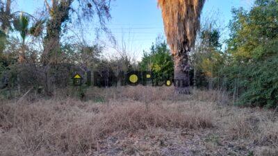 Mitre, General Ortega General Ortega, Maipu