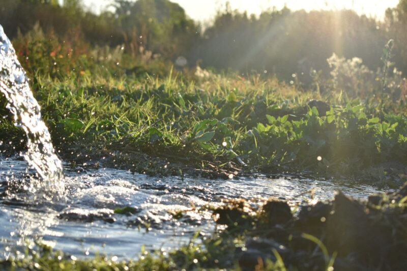 Terreno en Capiz de Abajo, San Carlos