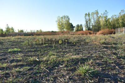 Terreno en Capiz de Abajo, San Carlos