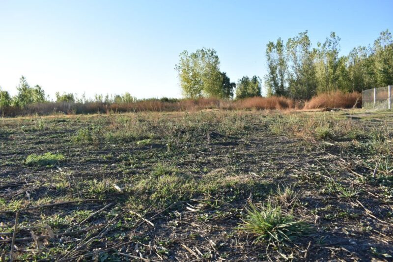 Terreno en Capiz de Abajo, San Carlos
