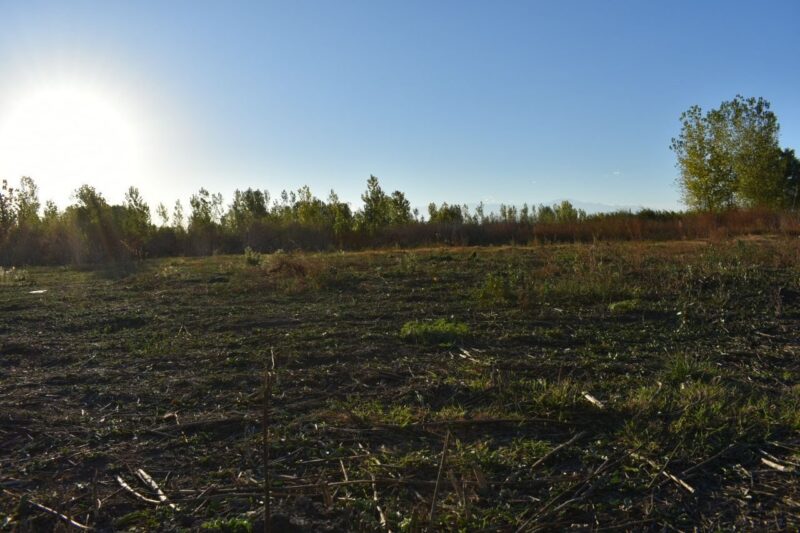 Terreno en Capiz de Abajo, San Carlos