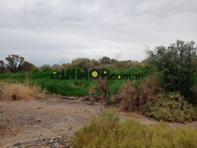 Venta de Campo en Capdevila | El Borbollón, Las Heras | 17 y 29 Ha