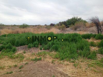 Venta de Campo en Capdevila | El Borbollón, Las Heras | 17 y 29 Ha