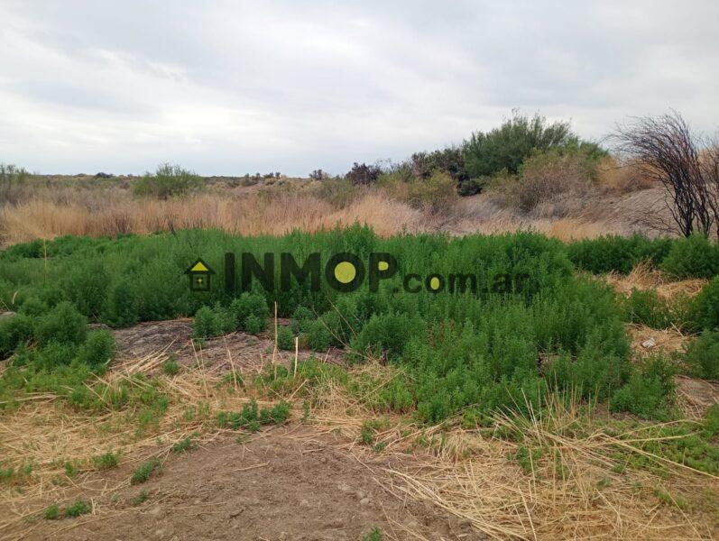 Venta de Campo en Capdevila | El Borbollón, Las Heras | 17 y 29 Ha