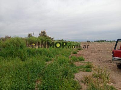 Venta de Campo en Capdevila | El Borbollón, Las Heras | 17 y 29 Ha