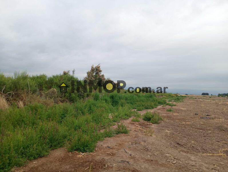 Venta de Campo en Capdevila | El Borbollón, Las Heras | 17 y 29 Ha