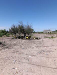 Terreno 6600 m2 frente a Terra Oliva, Maipú