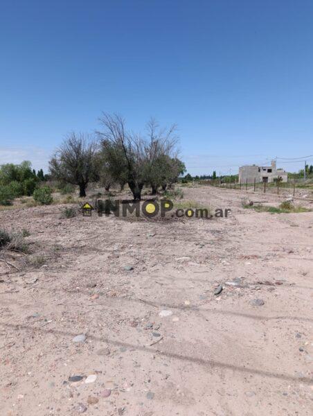 Terreno 6600 m2 frente a Terra Oliva, Maipú