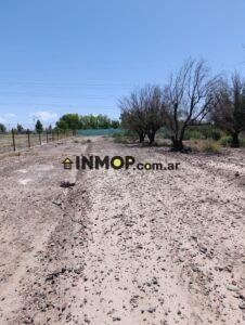 Terreno 6600 m2 frente a Terra Oliva, Maipú