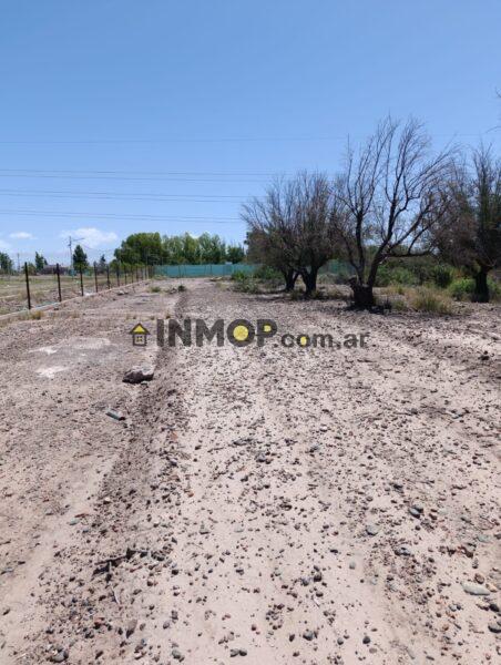 Terreno 6600 m2 frente a Terra Oliva, Maipú