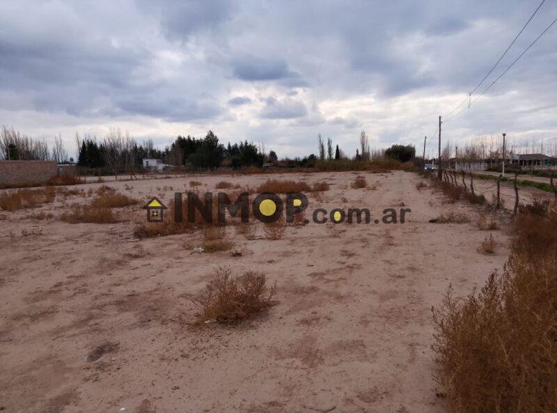 Excelente Lote en venta de 5200 mt2 en Corralitos, Guaymallen sobre el Carril Godoy Cruz. Servicios en puerta