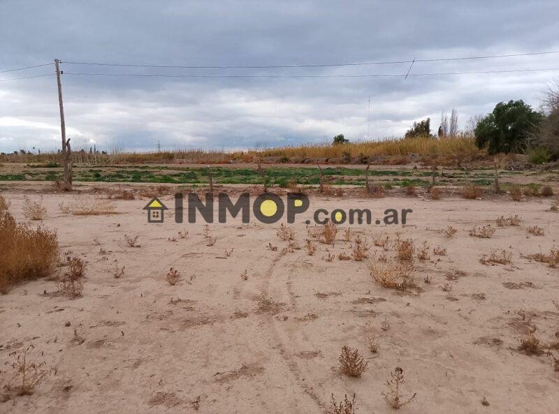 Excelente Lote en venta de 5200 mt2 en Corralitos, Guaymallen sobre el Carril Godoy Cruz. Servicios en puerta